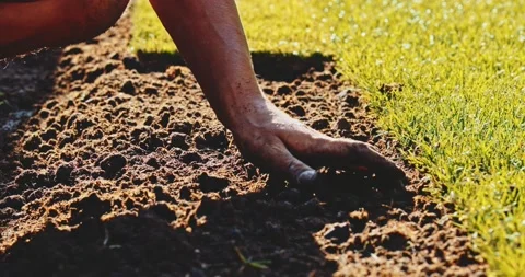 Man Hands Holding Soil. SLOW MOTION. Planting green grass lawn. Stock Footage 140295835