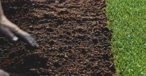 Man Hands Holding Soil. SLOW MOTION. Planting green grass lawn. Stock Footage 140367861