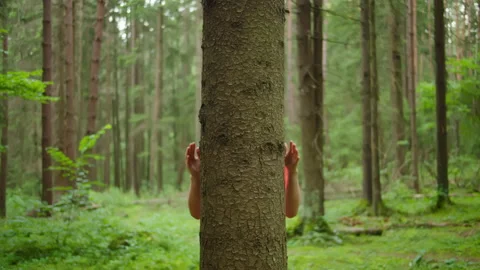Man with hands hugs a tree trunk, environmental protection, unity with nature Stock Footage 140365207
