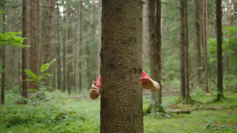 Man with hands hugs a tree trunk, environmental protection, unity with nature Stock Footage 140393518