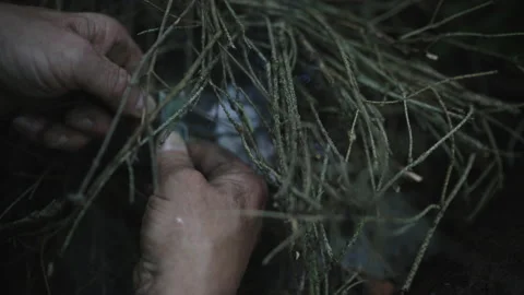 Man hands lighting a fire in a dark forest using magnesium fire steel   Stock-Footage 133242570