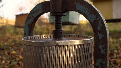 A man hands over a press to squeeze fruit juice Stock Footage 119712527