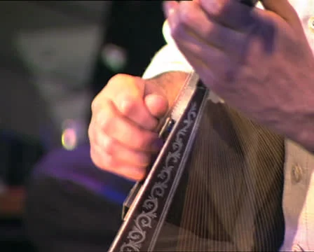 Man hands playing mandolin Vídeo Stock 22724824