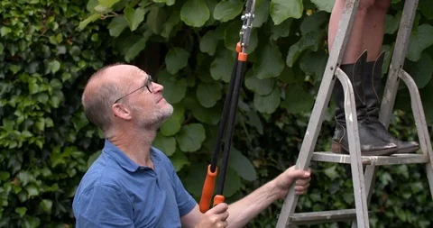Man hands pruning shears to his wife standing high on a step ladder 4K Stock Footage 91051666