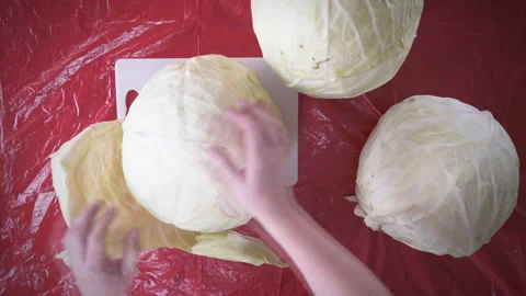 Man hands removing dirty outer cabbage leaves. Preparing to work. Close up Stock Footage 153758358
