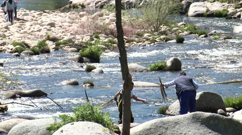 Man hands rope to remove dead vegetation from riverbed Stock Footage 49059214