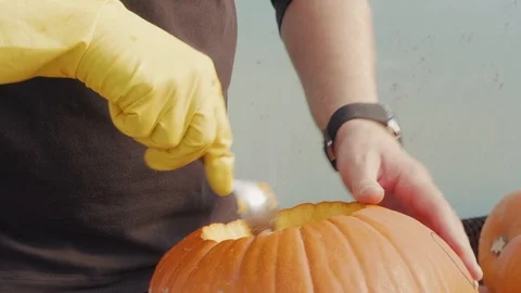 Man hands in rubber gloves scooping out Halloween pumpkin Stock Footage 118318442