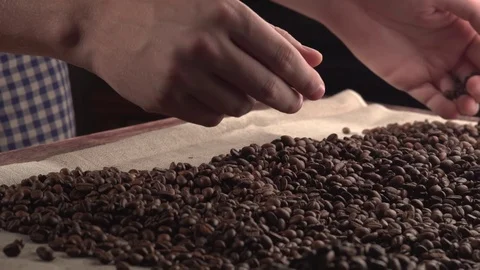 Man hands sorting poor quality's of rusted coffee beans Video stock 82107129