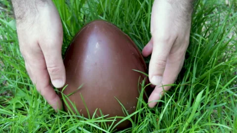 Man hands taking on big size chocolate egg from green tall grass 動画素材 229368980