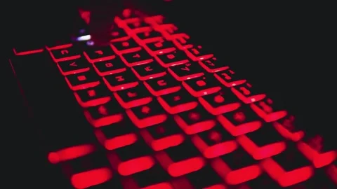 Man Hands Typing On Keyboard. Time Lapse. using laptop working searching and Stock-Footage 336585592