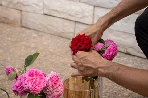 Man hands while arranging flowers in a vase Stock Photos