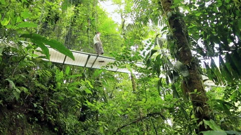 Man on hanging bridge Stock Footage 54591778