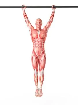 Man hanging from exercise bar Stock Illustration