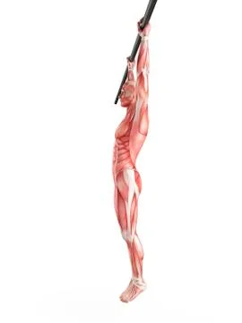 Man hanging from exercise bar Stock Illustration