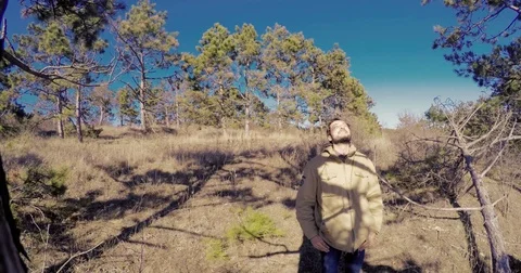 The man is happy in the pine forest Stock Footage 74621360