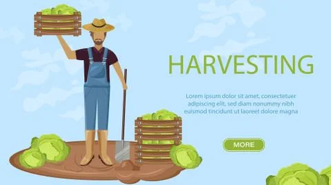 Man harvesting Vector flat style. Autumn fall season agriculture brochure tem Stock Illustration
