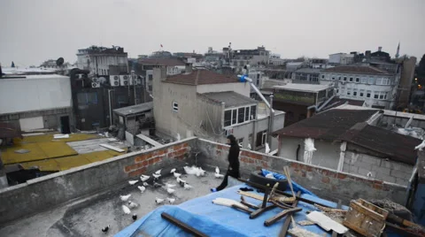 The man has been breeding pigeons on the roof Video stock 63061107