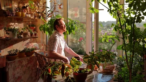 Man Has Breakfast Looking Through Open Window Sitting on Terrace Among Pots Stock Footage 71634770