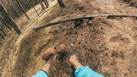 A man has found a white mushroom in the forest. Stock Footage 159726244