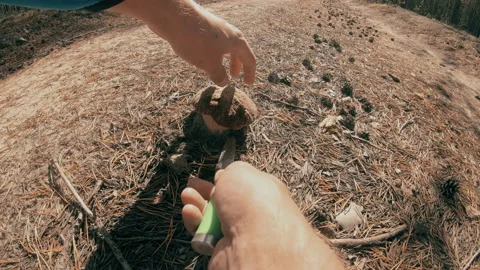 A man has found a white mushroom in the forest. Stock Footage 159726374