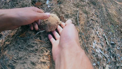 A man has found a white mushroom in the forest. Stock Footage 159726409