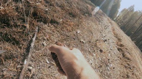 A man has found a white mushroom in the forest. Stock Footage 159726983