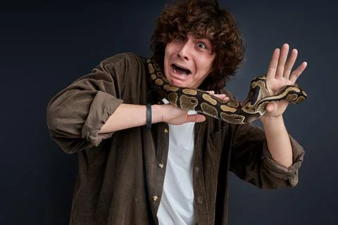 A man has a panic attack having snake on his shoulders Stock Photos