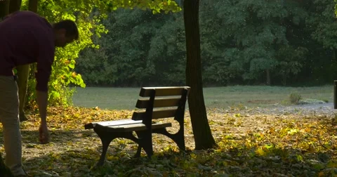 Man Has Picked Up Yellow Leaf Man is Walking to the Bench and Seats on It Man Stock Footage 55419325