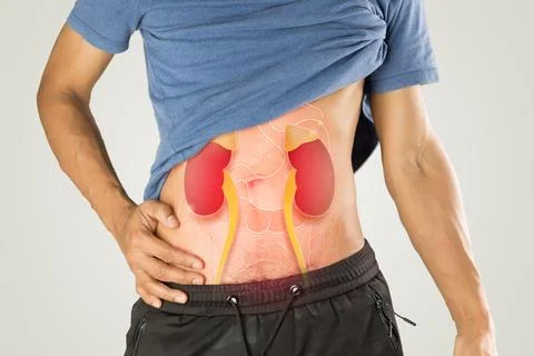 A man has a problem with his kidney functioning abnormally. Stock Photos