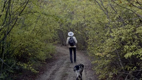A man in a hat and a dog walk a shady forest. Traveller with a backpack in the Stock Footage 146661234