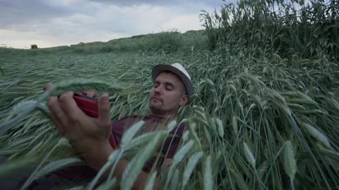 Man in hat with beard lies on wheat field and works in tablet Stock Footage 160681223