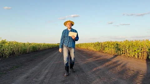 Man in a hat checking crops, Farming in the modern era, Agricultural technology Stockbeeldmateriaal 308321780