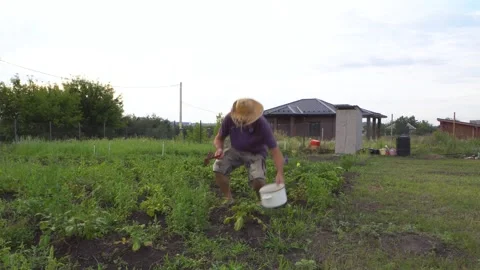 A man in a hat in a garden bed 4K Stock Footage 325988057