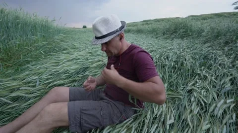 Man in hat sitting on wheat field putting on headphones falling on wheat Video stock 167081291