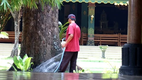 A man in a hat is watering the trees Stock Footage 236619573