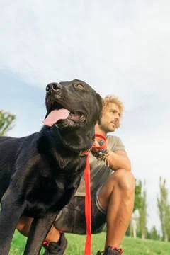 Man having fun with his dog. Stock Photos