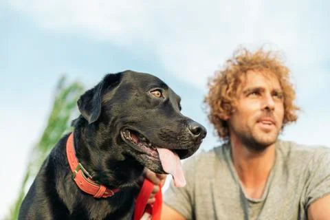 Man having fun with his dog. Stock Photos