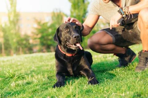 Man having fun with his dog. Stock Photos