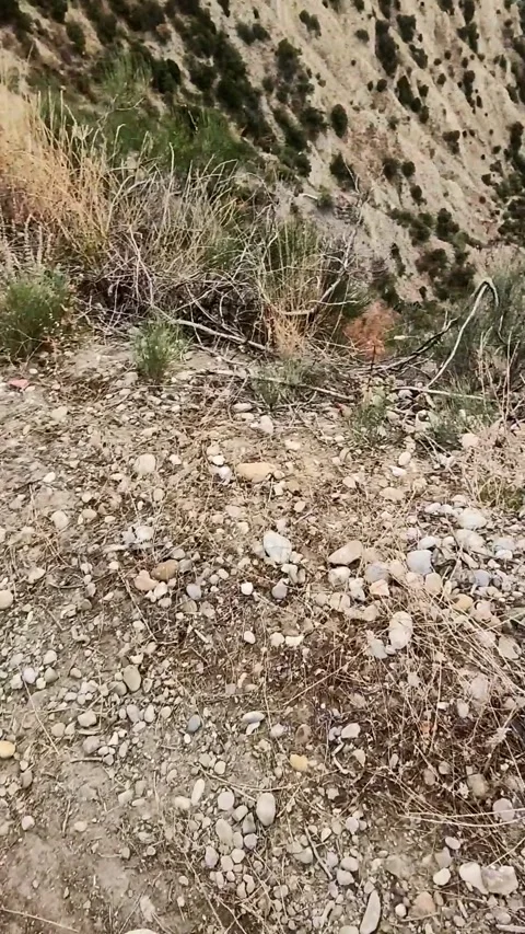 Man is having private excursion of visiting caves in Georgian mountains and Vídeos de archivo 280056019