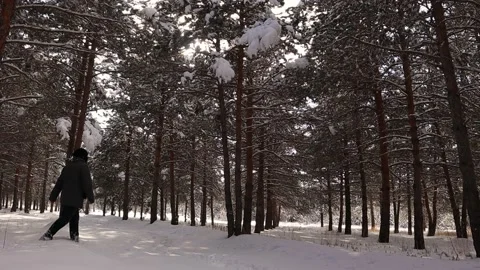 Man is having some fun in the winter by kicking a snow covered tree. wildlife Stock Footage 150116240
