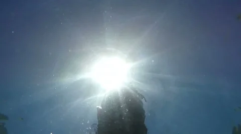 Man head in swimming goggles diving underwater slow motion Stock Footage 63980246