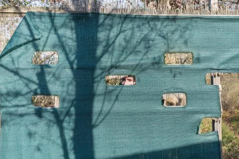 Man hidden behind a bird hide Stock Photos