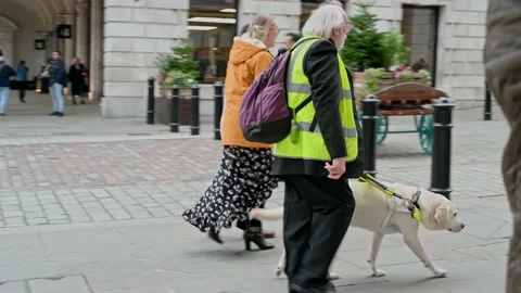 Man in high visibility jacket being lead through Covent Garden by a guide dog Stock Footage 164883738