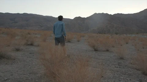 Man on Hike with Dog in Desert Throws Ball to Fetch Stock Footage 95931370