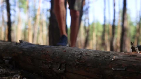 Man hiker with a backpack steps over a fallen log while hiking in the woods Stock Footage 150260126