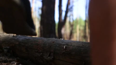 Man hiker with a backpack steps over a fallen log while hiking in the woods Stock Footage 150260155