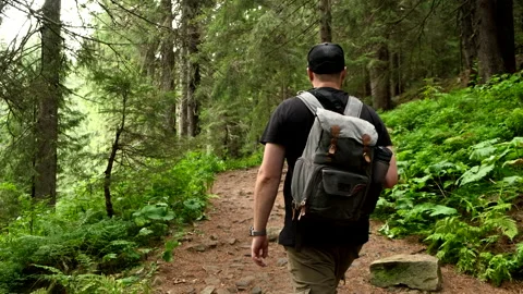 Man hiker with backpack walking by trail road in ukraine carpathian forest Stock Footage 211389322