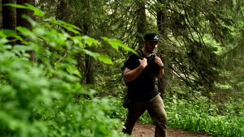 Man hiker with backpack walking by trail road in ukraine carpathian forest Stock Footage 221549038