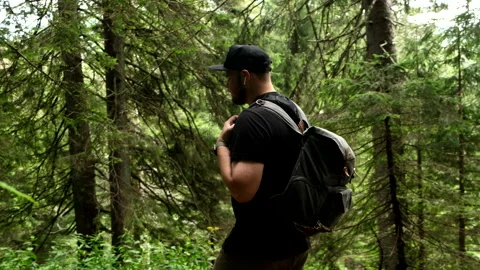 Man hiker with backpack walking by trail road in ukraine carpathian forest Stock Footage 235426604