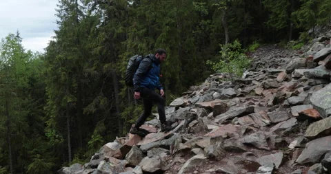 A man is a hiker on a hike in a mountain forest walking on rocky Stock Footage 243739917